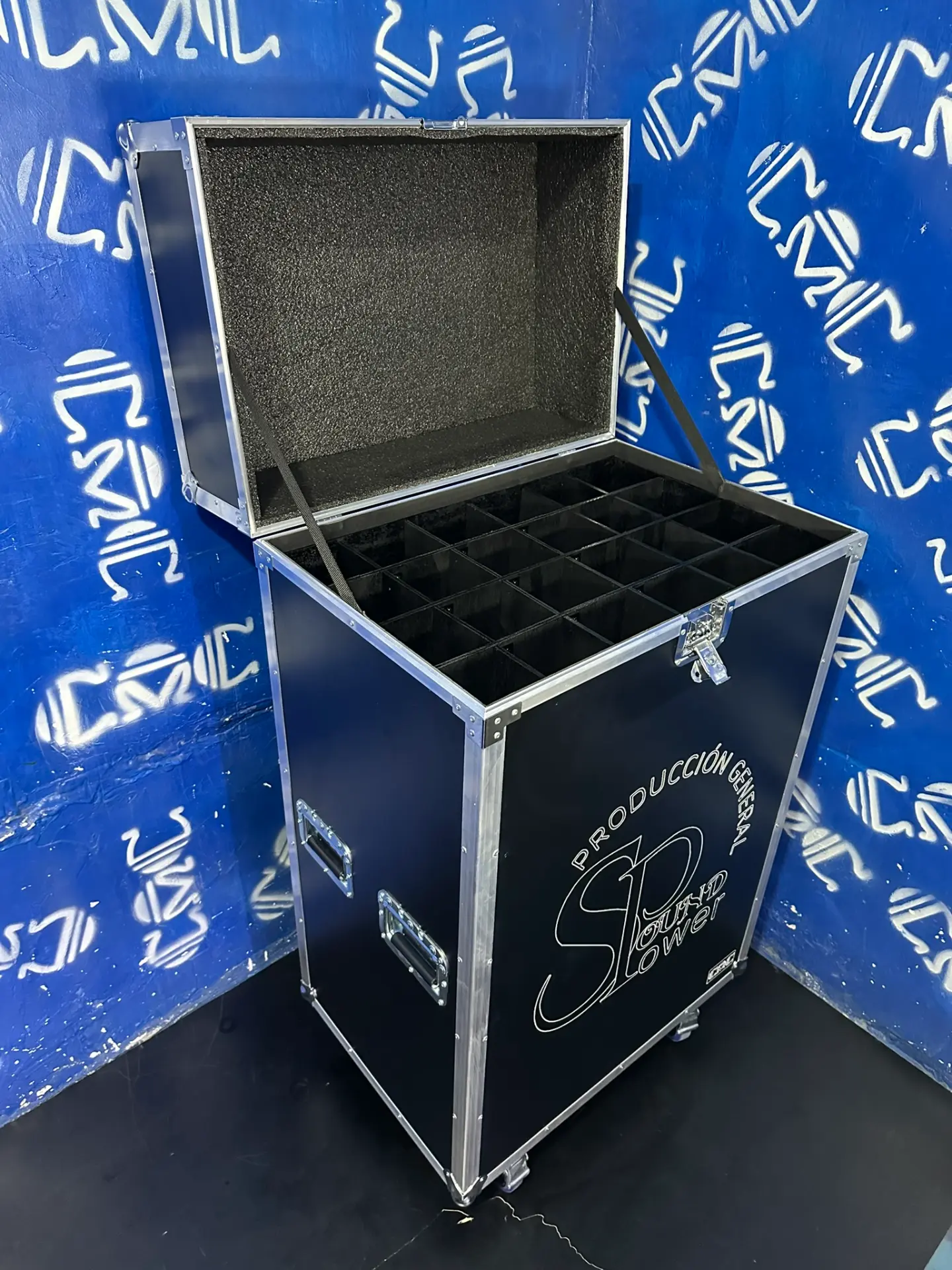 Case para 24 parales abierto — Veinticuatro divisiones individuales para mantenerlos completos y ordenados.